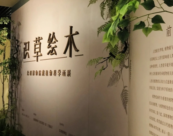 抓住暑假的尾巴，帶孩子感受博物館藝術(shù)的“光合作用”！