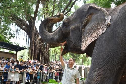 五一假期首日，深圳野生動物園動物科普講解吸引游客